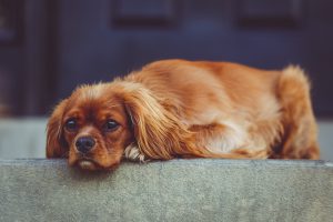A photo by Andrew Branch. unsplash.com/photos/NhRJJwzGRXQ